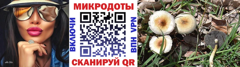 Псилоцибиновые грибы ЛСД  kraken зеркало  Староминская 